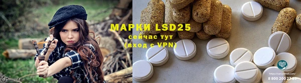 PSILOCYBIN Касимов