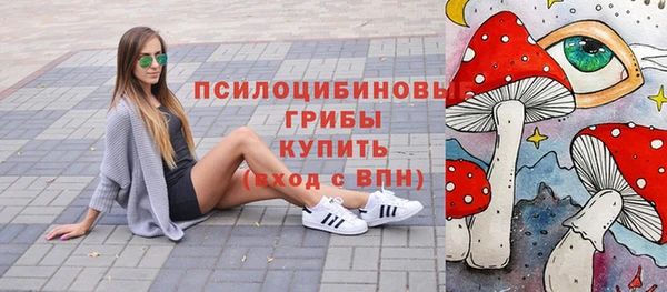 PSILOCYBIN Касимов