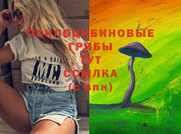 мескалин Карпинск