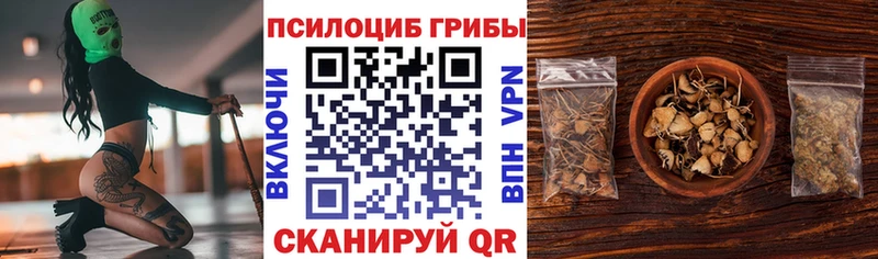 Купить  Бородино  Псилоцибиновые грибы ЛСД 